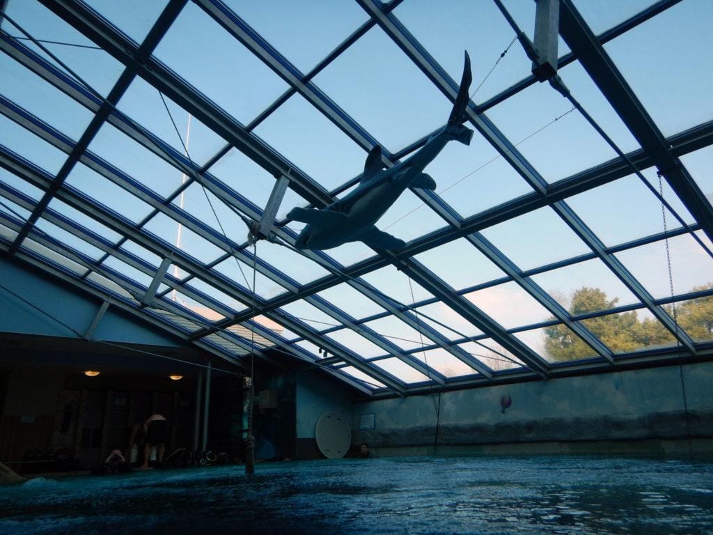 Zdjęcie z archiwum SCUBA DIVE