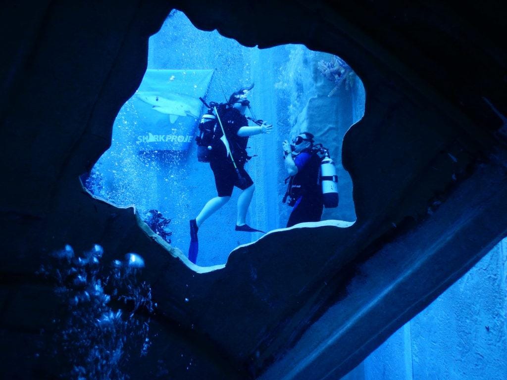 Zdjęcie z archiwum SCUBA DIVE