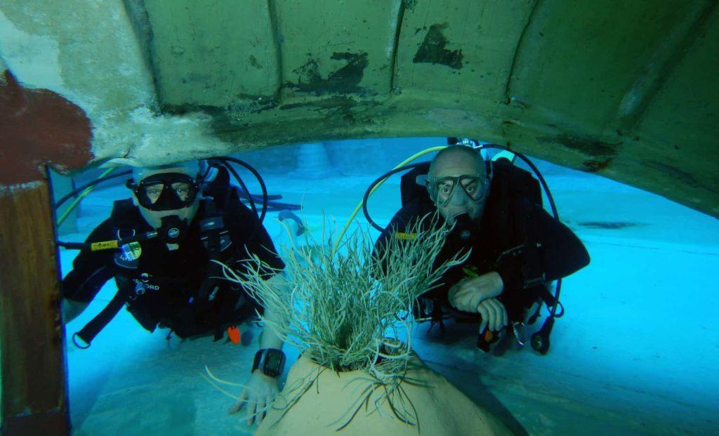 Zdjęcie z archiwum SCUBA DIVE